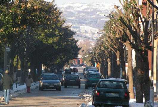 Cervinara: domani sosta vietata in via Rettifilo per la manutenzione del verde Cervinara: domani sosta vietata in via Rettifilo per la manutenzione del verde