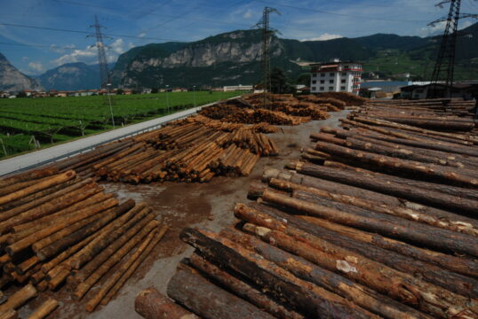 San Martino, furto di legna: quattro denunce