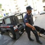 Criminalità: i Carabinieri sequestrano armi e munizioni