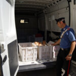 Airola: denunciato per trasporto irregolare di pane operaio di Cervinara e commerciante di Montesarchio