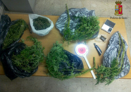 Coltivava marijuana: un arresto in Irpinia