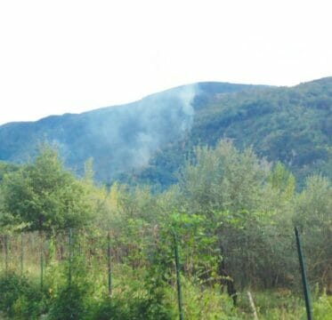 San Martino Valle Caudina: Emergenza incendi, l’amministrazione non interviene