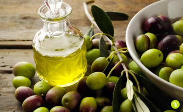 Valle Caudina: Raccolta olive e produzione olio, ottima annata