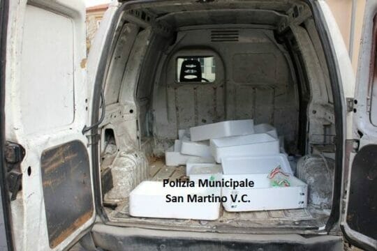 Valle Caudina: ancora sequestro di latticini consegnati a negozi e ristoranti di Cervinara e San Martino
