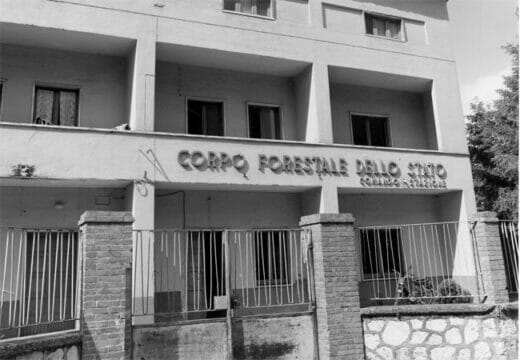 Cervinara: abusivismo edilizio, denunciate due persone dai carabinieri forestali