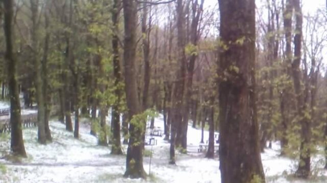 Valle Caudina: è tornata la neve