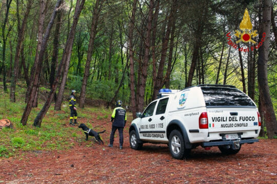 Cronaca, Partenio: ritrovato senza vita cercatore di funghi