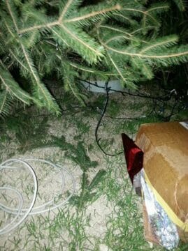 Montesarchio, le Sentinelle denunciano: Sabotato l’albero di Natale sulla Torre