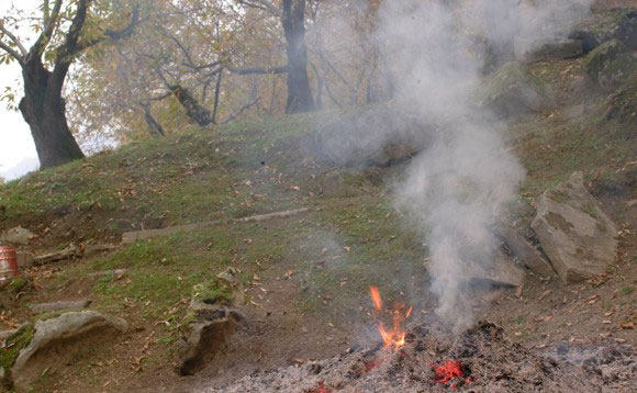Valle Caudina: potatura castagneti, non bruciare i rami secchi!