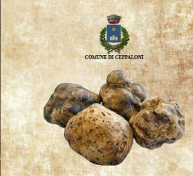 Coldiretti sostiene la candidatura del tartufo di Ceppaloni a bene Unesco