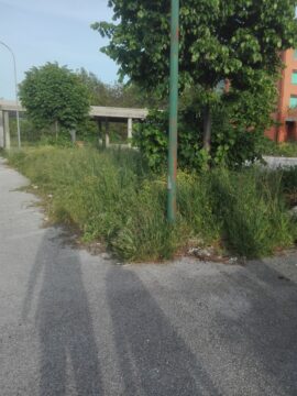 Cervinara: il comitato Parco San Vito chiede un incontro con il sindaco Tangredi