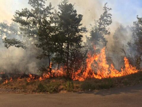Valle Caudina: servizio antincendio boschivo a rischio