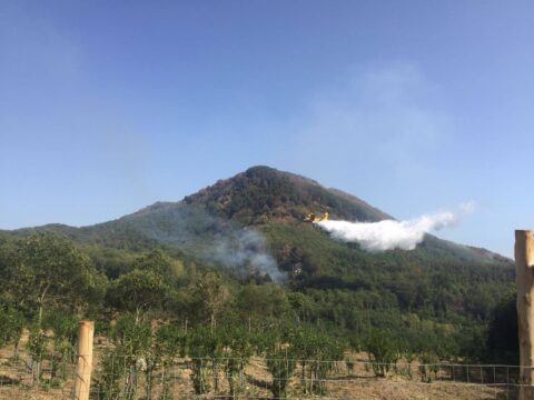Partenio: centinaia di ettari di bosco andati in fumo