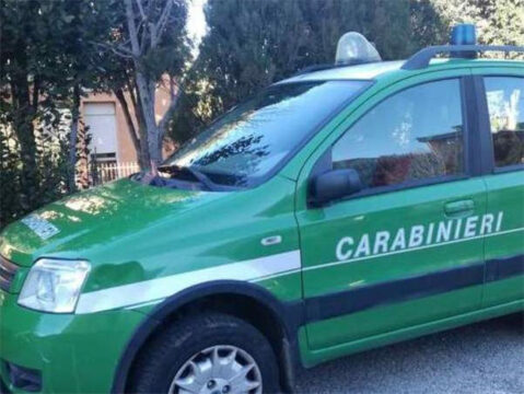 Cronaca: controlli dei carabinieri alla 40esima Sagra della Castagna di bagnoli Irpino