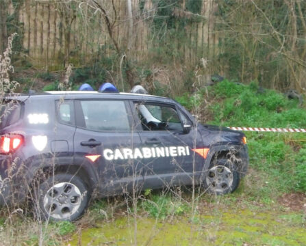 I carabinieri forestali sequestrano una conceria