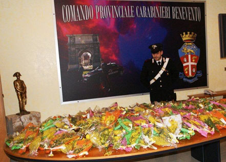 I Carabinieri denunciano venditori abusivi di mimose