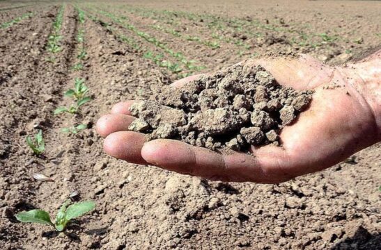 Valle Caudina: siccità 2017, Cervinara, San Martino e i paesi sanniti possono chiedere aiuti