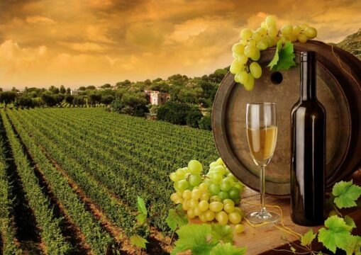 Sant’Agata de’ Goti: filiera vitivinicola, firmato il protocollo di intesa