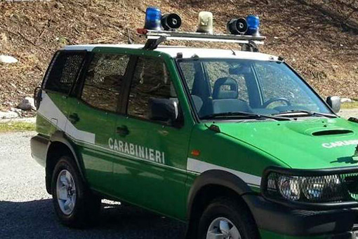 I carabinieri forestali scropono un'officina totalmente abusiva