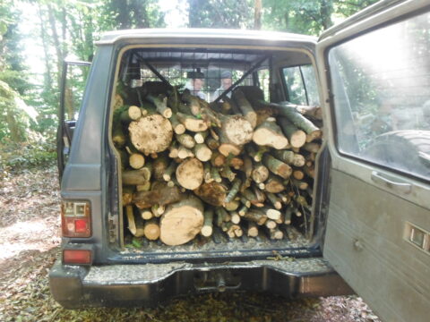 Rotondi, rubano legna in montagna: un arresto e due denunce