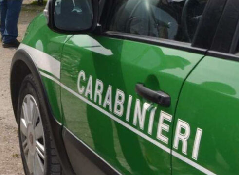 Cronaca, Forino, Mercogliano e Montoro: roghi agricoli, carabinieri forestali denunciano tre persone