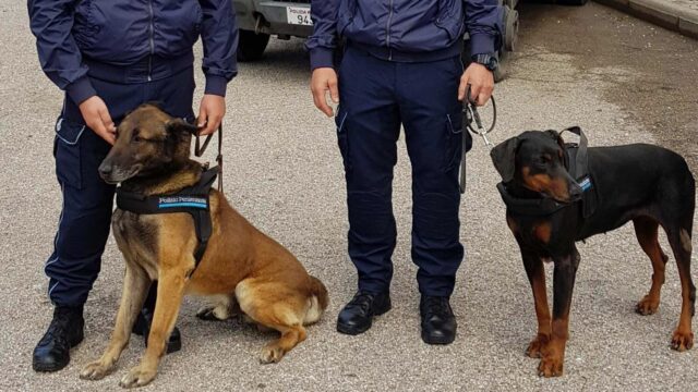 Carcere di Airola: tossicodipendente bloccato da cani poliziotto