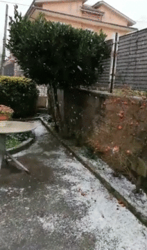 Cervinara: è arrivata la neve, ecco il video