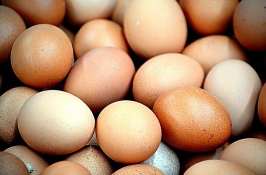 Consumi: Le uova star nel carrello della spesa, +17%