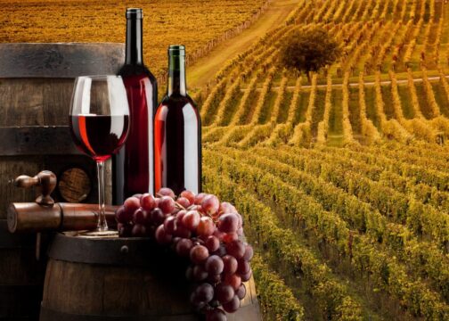 Regione Campania: Contributi per le aziende vitivinicole