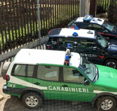Montesarchio: cartelloni pubblicitari sequestrati dai carabinieri forestali