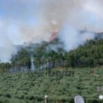 Cronaca: inizia la triste e pericolosa stagione degli incendi boschivi