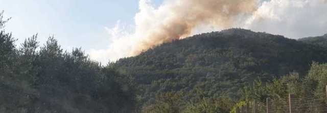 Cronaca: continuano ad andare in fumo ettari di bosco