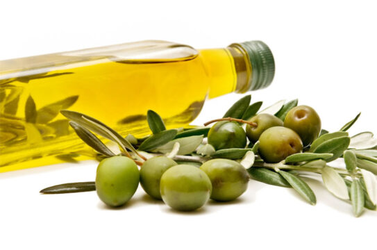 Raccolta olive: dal 20 settembre in Campania, da domani nel Salento