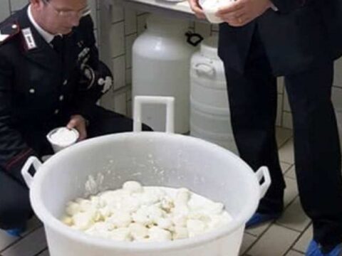 Cronaca: 300 kg di latticini sequestrati per pessimo stato di conservazione