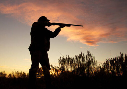Cronaca: a caccia in aree protette, denunciate tre persone