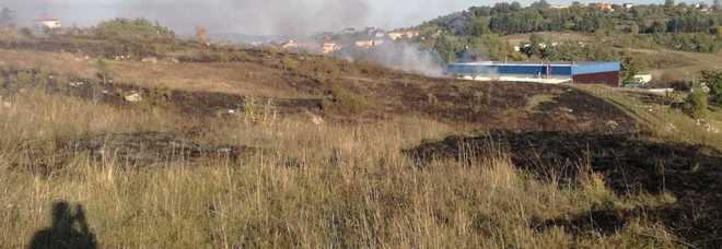 Cronaca: dieci ettari di macchia verde distrutti da un incendio