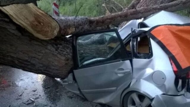 Cronaca: albero cade per il vento e distrugge un’auto