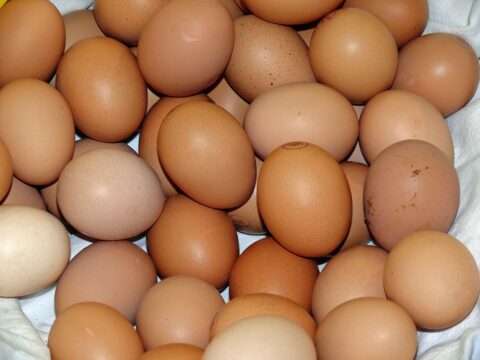 Cronaca: sfida un amico a chi mangia più uova, muore dopo averne mangiate 42