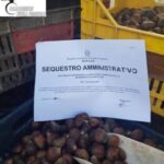 Cronaca: i carabinieri forestali sequestrano 300 kg di pesce, formaggi, panettoni e castagne