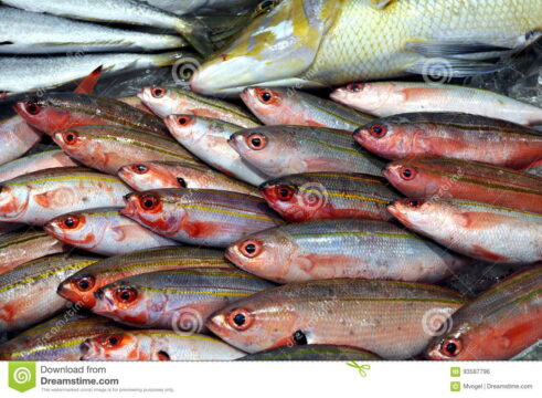 Cronaca: sequestrati 200 kg di pesce di dubbia provenienza
