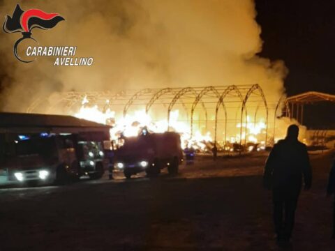 Cronaca: in fiamme un’azienda agricola, due capannoni distrutti