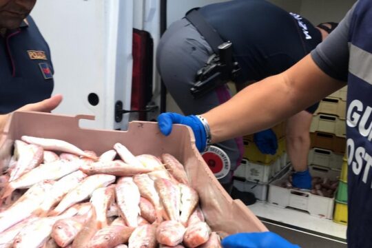 Cronaca: 70 kg di pesce sequestrato