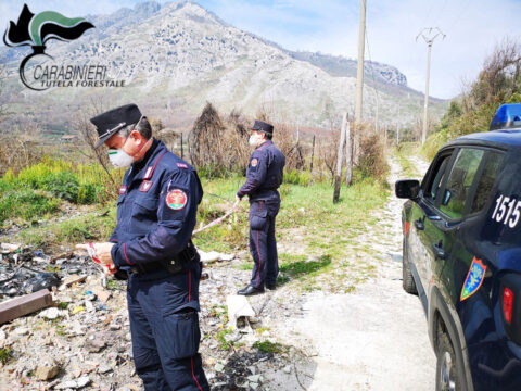 Il bilancio di un anno di attività dei carabinieri forestali di Avellino