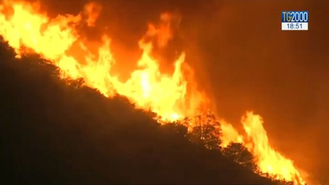 Brucia la Valle Caudina, in fiamme uliveti alle pendici Taburno
