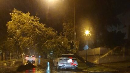 Cronaca: albero si abbatte su auto, mamma e due figli intrappolati