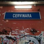Danni da randagi: Provincia di Avellino tira in ballo il Comune di Cervinara