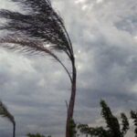 Valle Caudina: continua il maltempo, scatta l’emergenza vento
