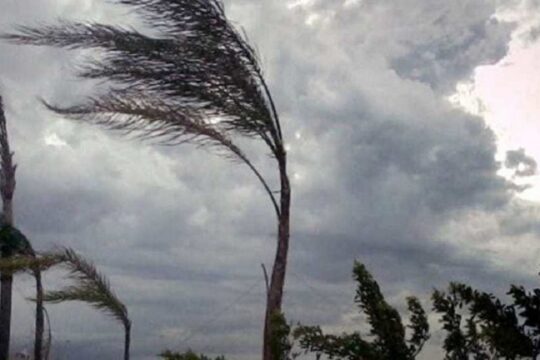 Cervinara:  allerta meteo per vento forte, il sindaco chiude cimitero e villa comunale
