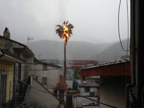 Valle Caudina: fulmine brucia una palma, panico a Rotondi