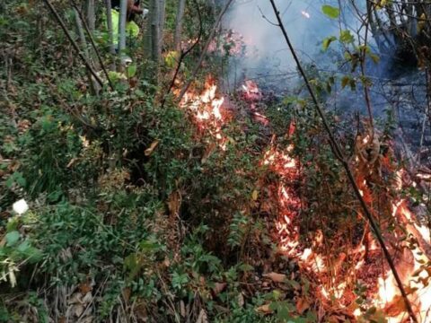 Valle Caudina: brucia Rotondi e le fiamme minacciano anche Cervinara